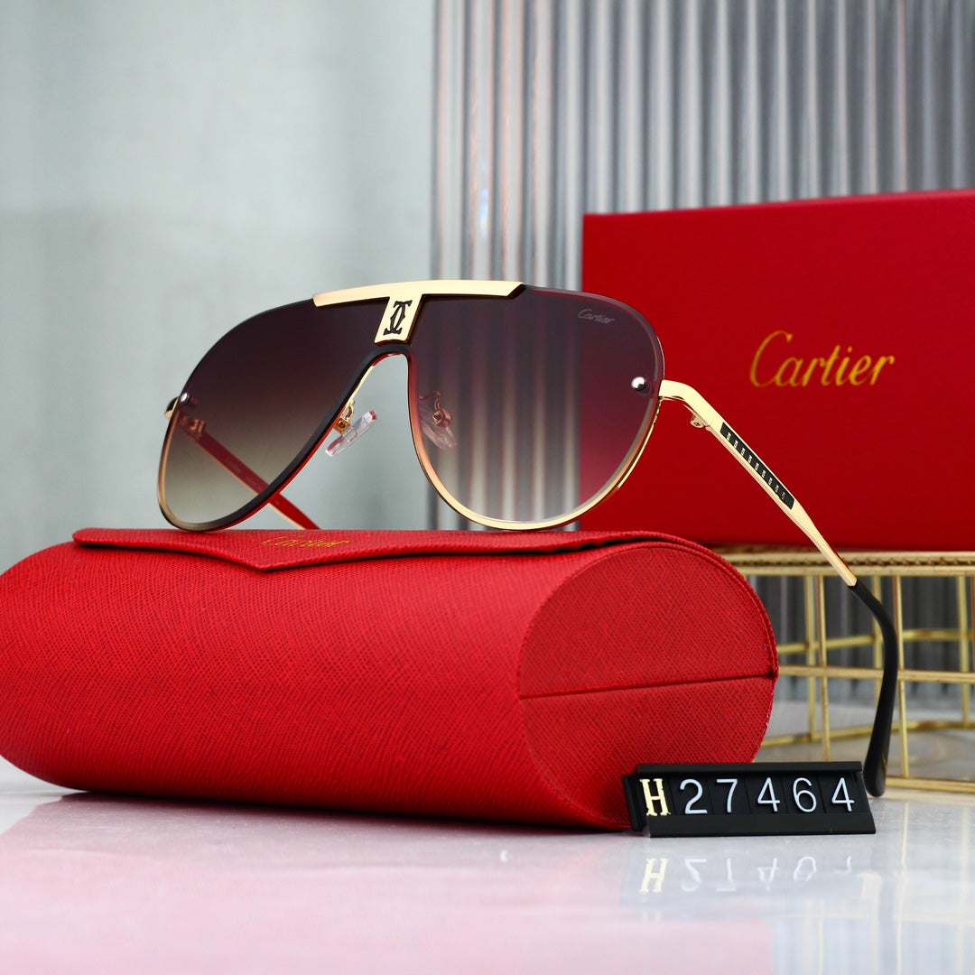 Lunettes de soleil intégrées de style moderne