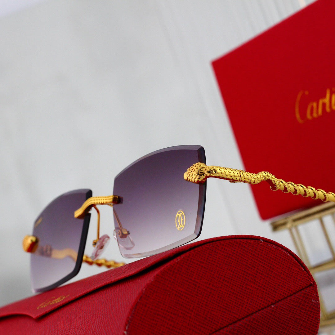 Lunettes de soleil carrées sans monture avec motif serpent
