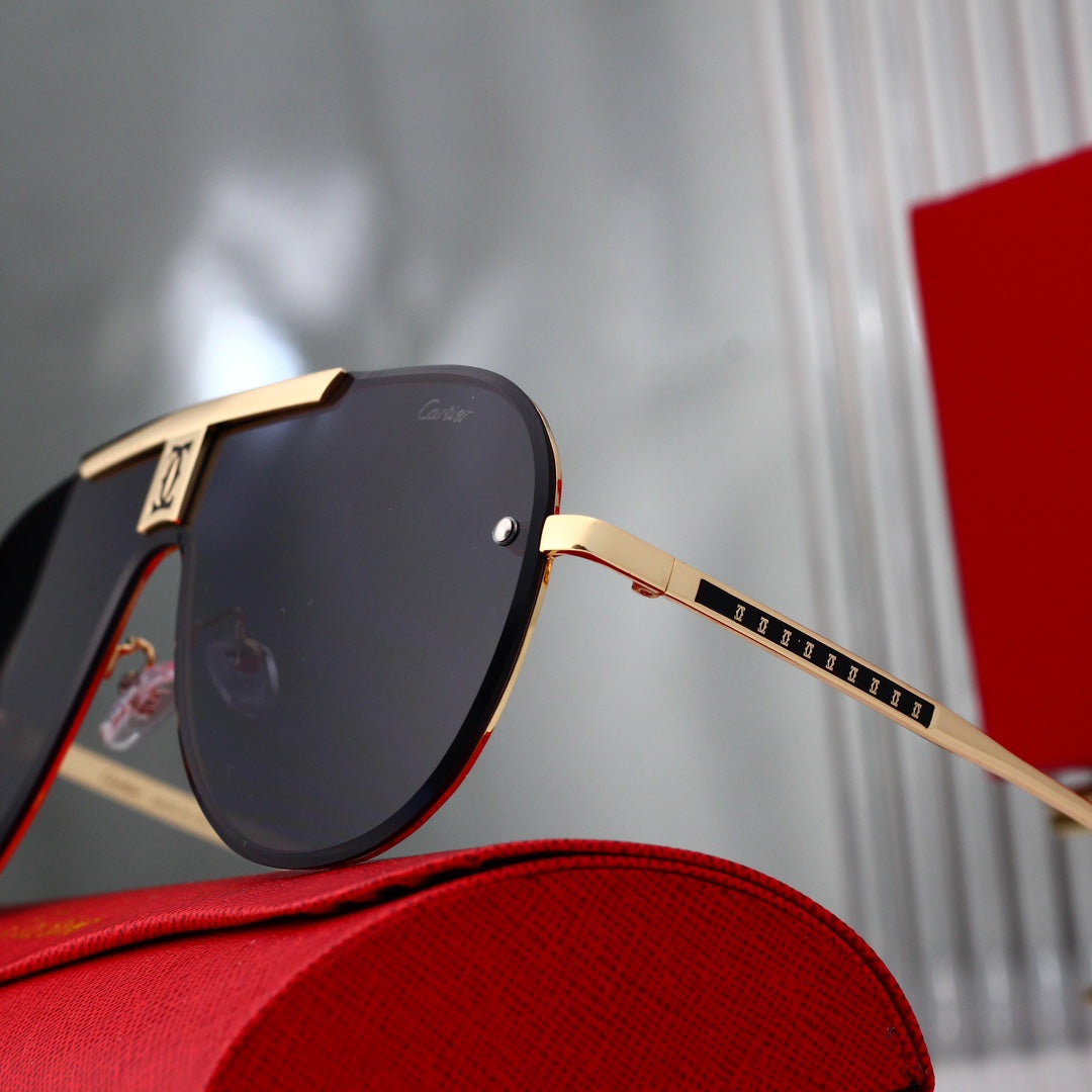 Lunettes de soleil intégrées de style moderne