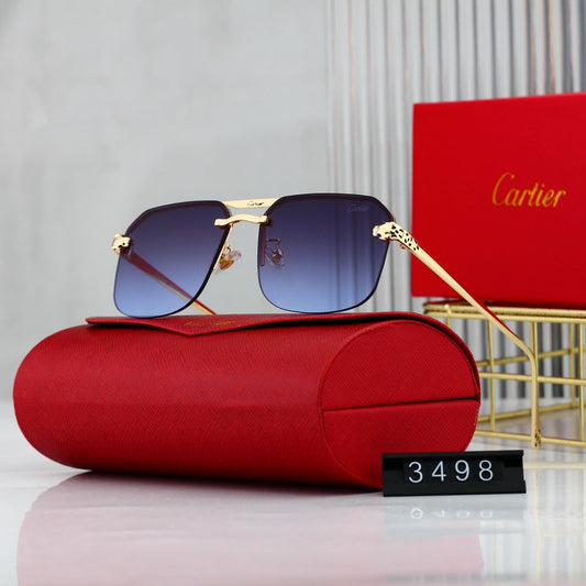 Lunettes de soleil élégantes